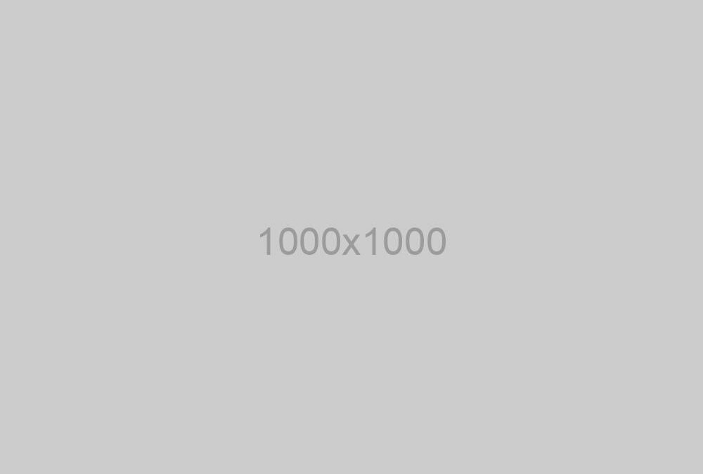 Project Example